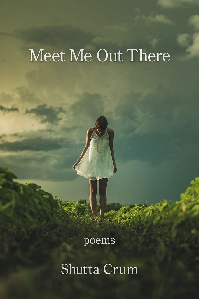 Meet Me Out There by Shutta Crum